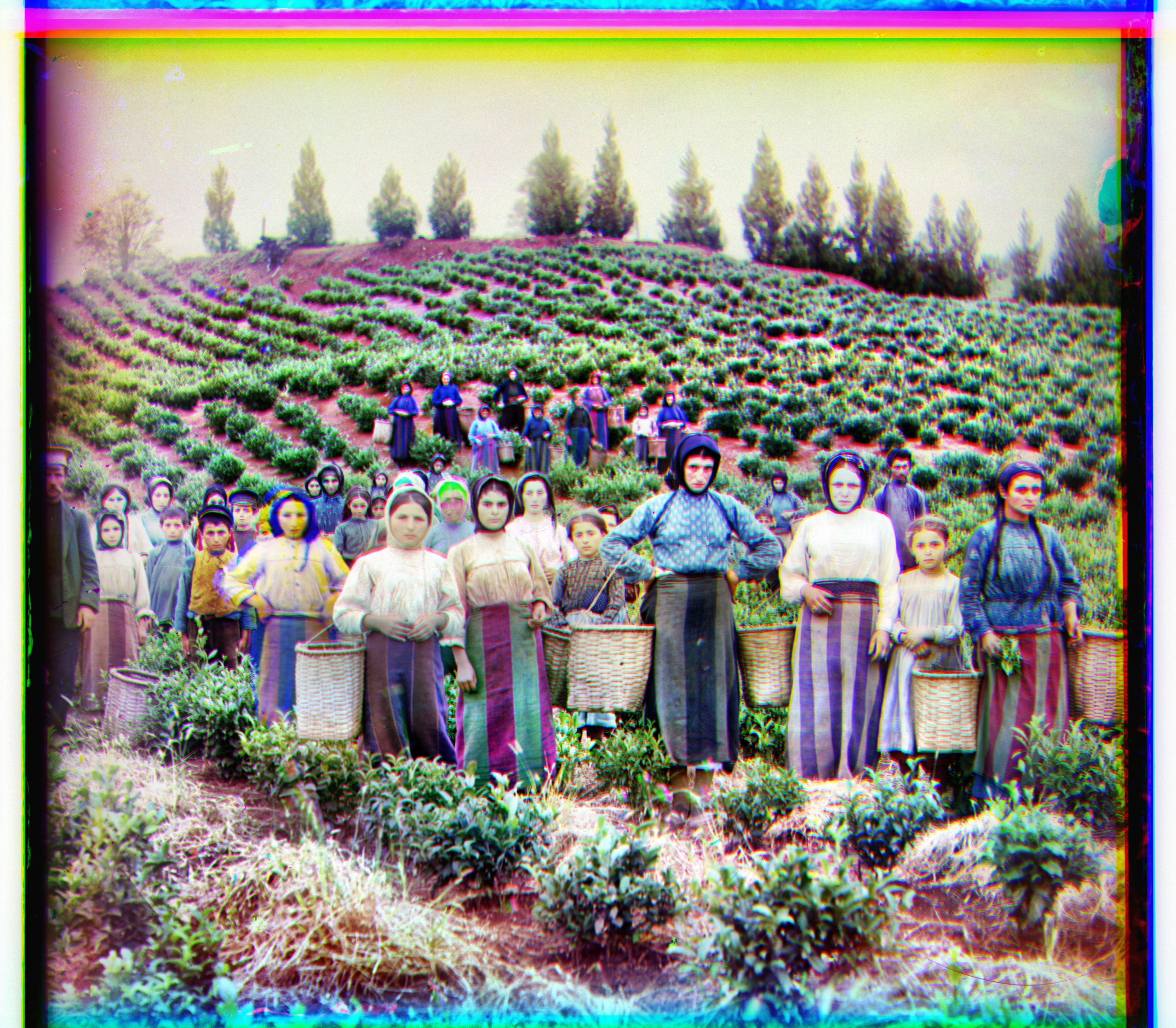 Harvesters CLAHE Autocontrast